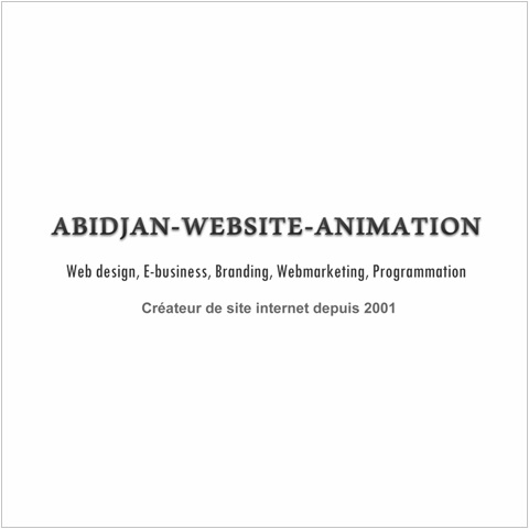 ABIDJAN-WEBSITE-ANIMATION - Galerie